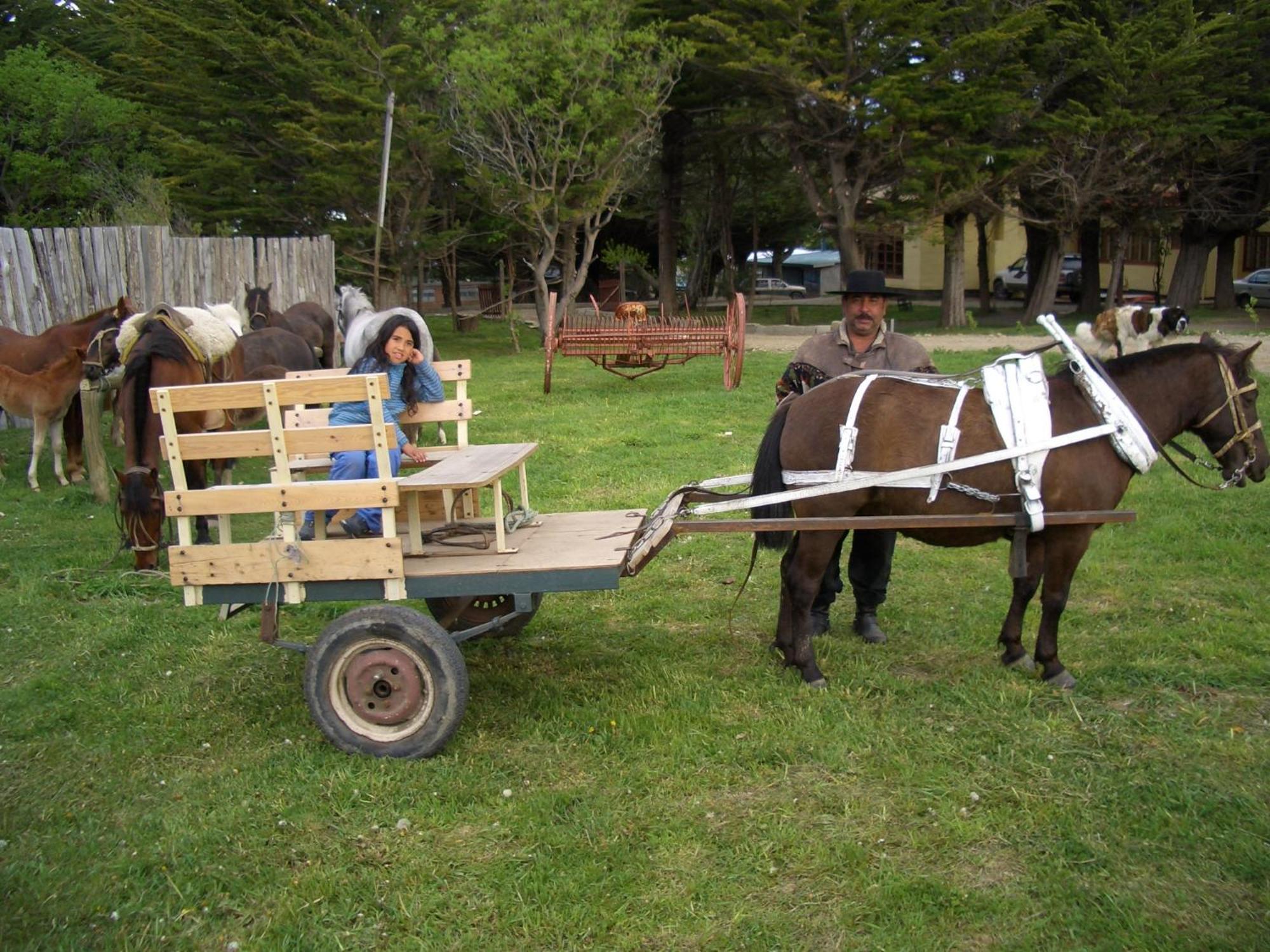 Estancia Rio De Los Ciervos Punta Arenas Luaran gambar