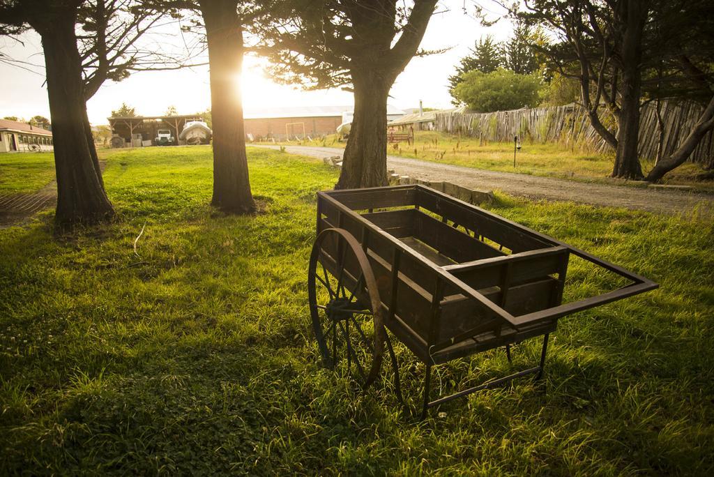 Estancia Rio De Los Ciervos Punta Arenas Luaran gambar