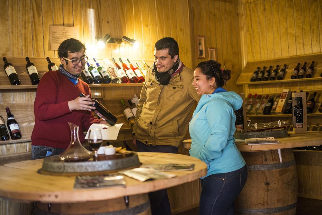 Estancia Rio De Los Ciervos Punta Arenas Luaran gambar