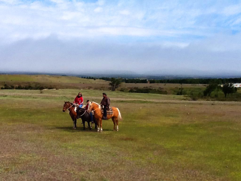 Estancia Rio De Los Ciervos Punta Arenas Luaran gambar